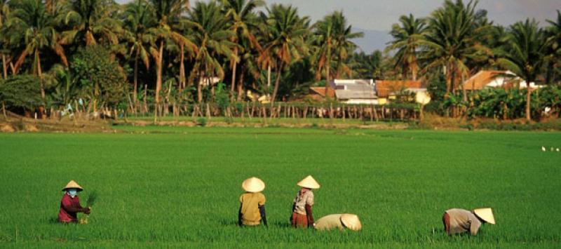 Acuerdo de libre comercio entre la Unión Europea y Vietnam